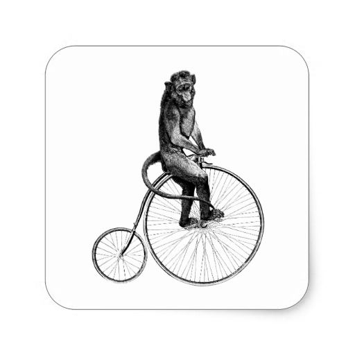Monkey_bike