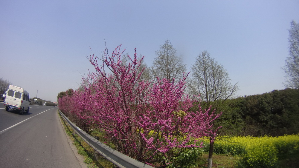 Spring ride 300 SH to Nanjing