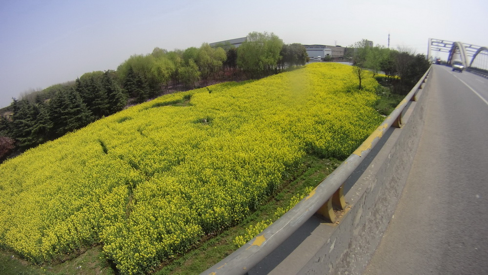 spring nanjing 07