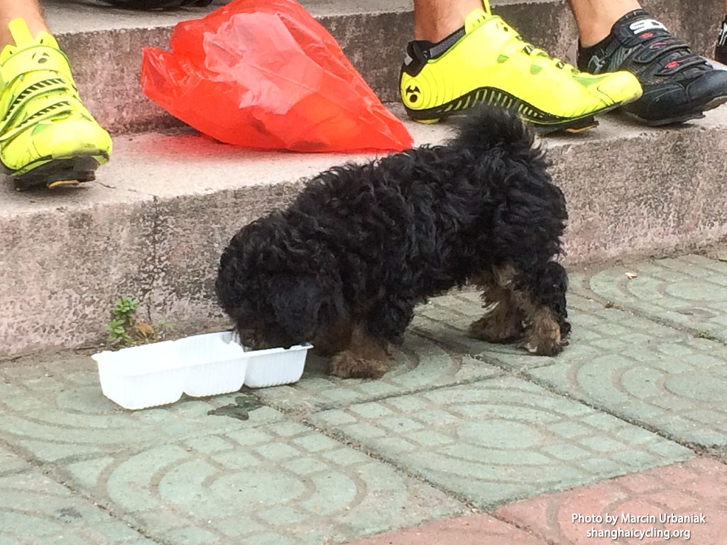 27th_August_Image_18_Marcin_Urbaniak