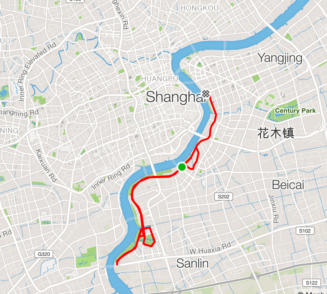 Pudong Expo Loops