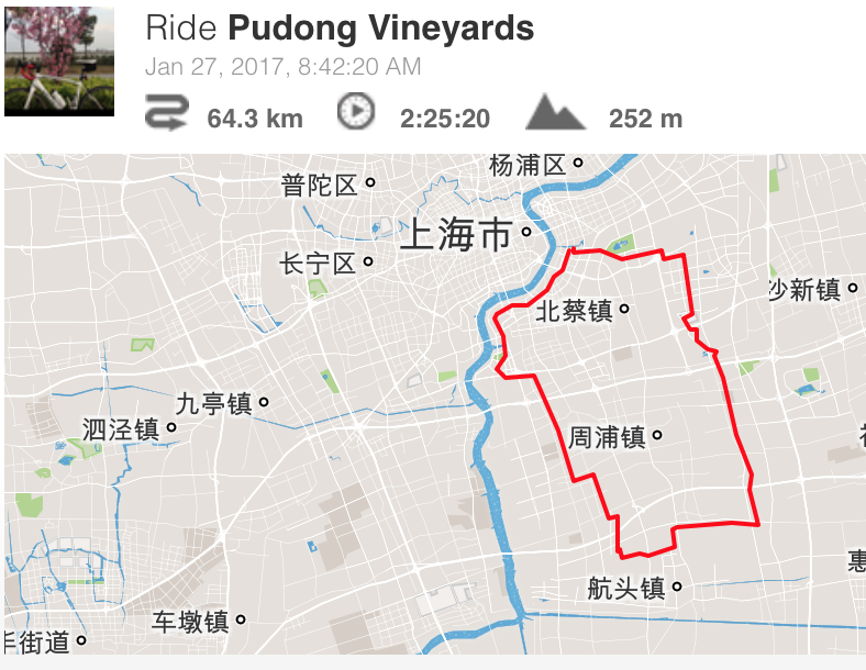 Pudong Vineyards